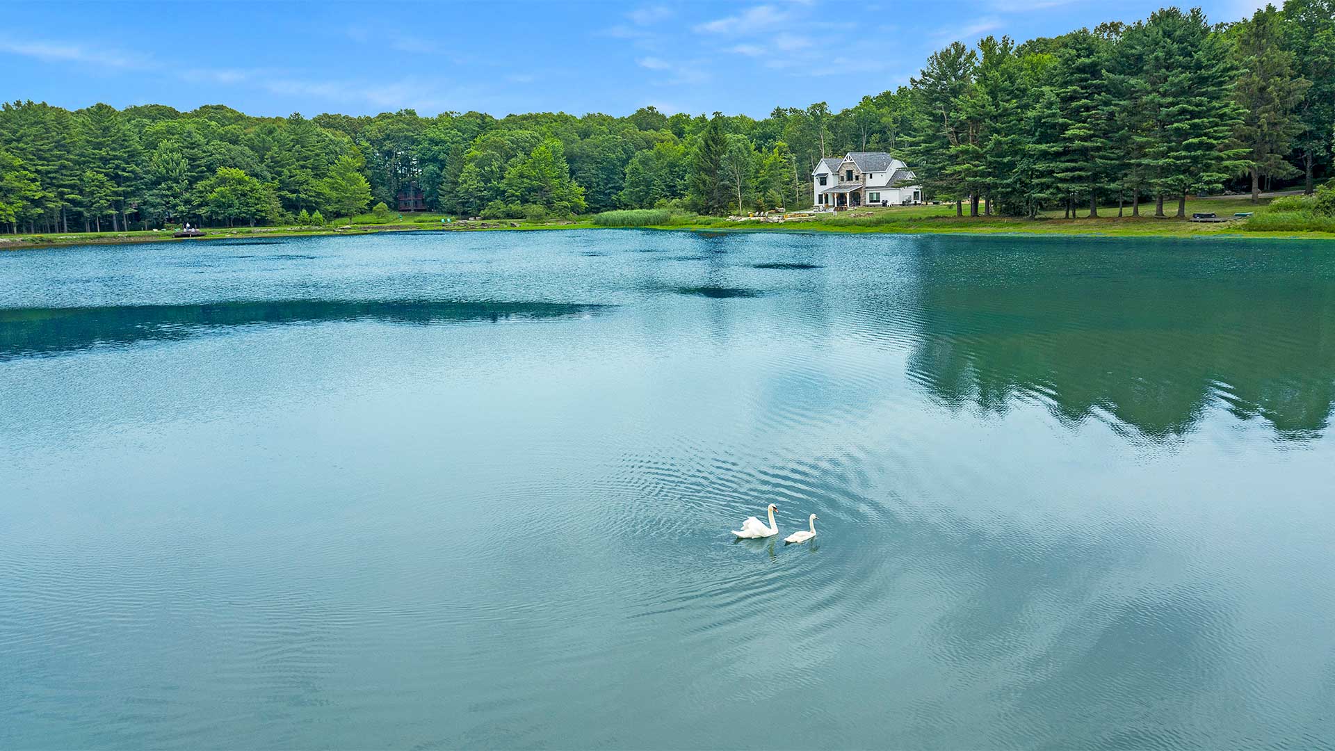 detail shot of the clear blue lake with two swans swimming in it.