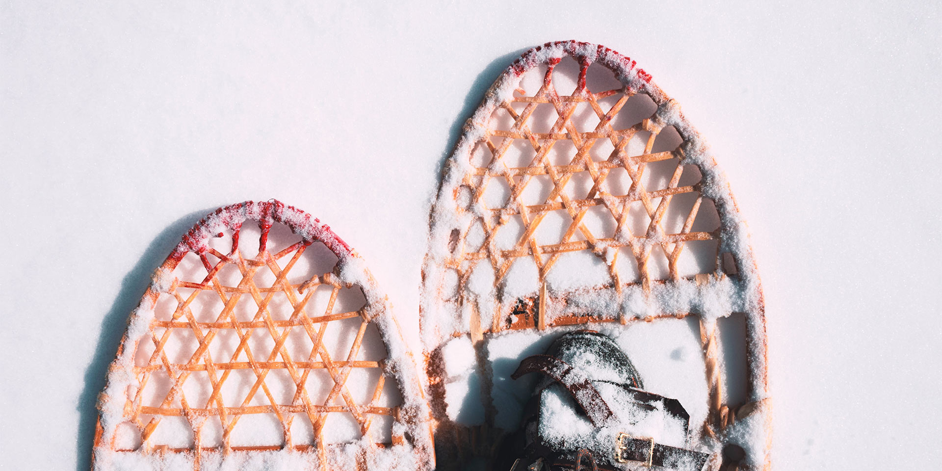 snow shoes