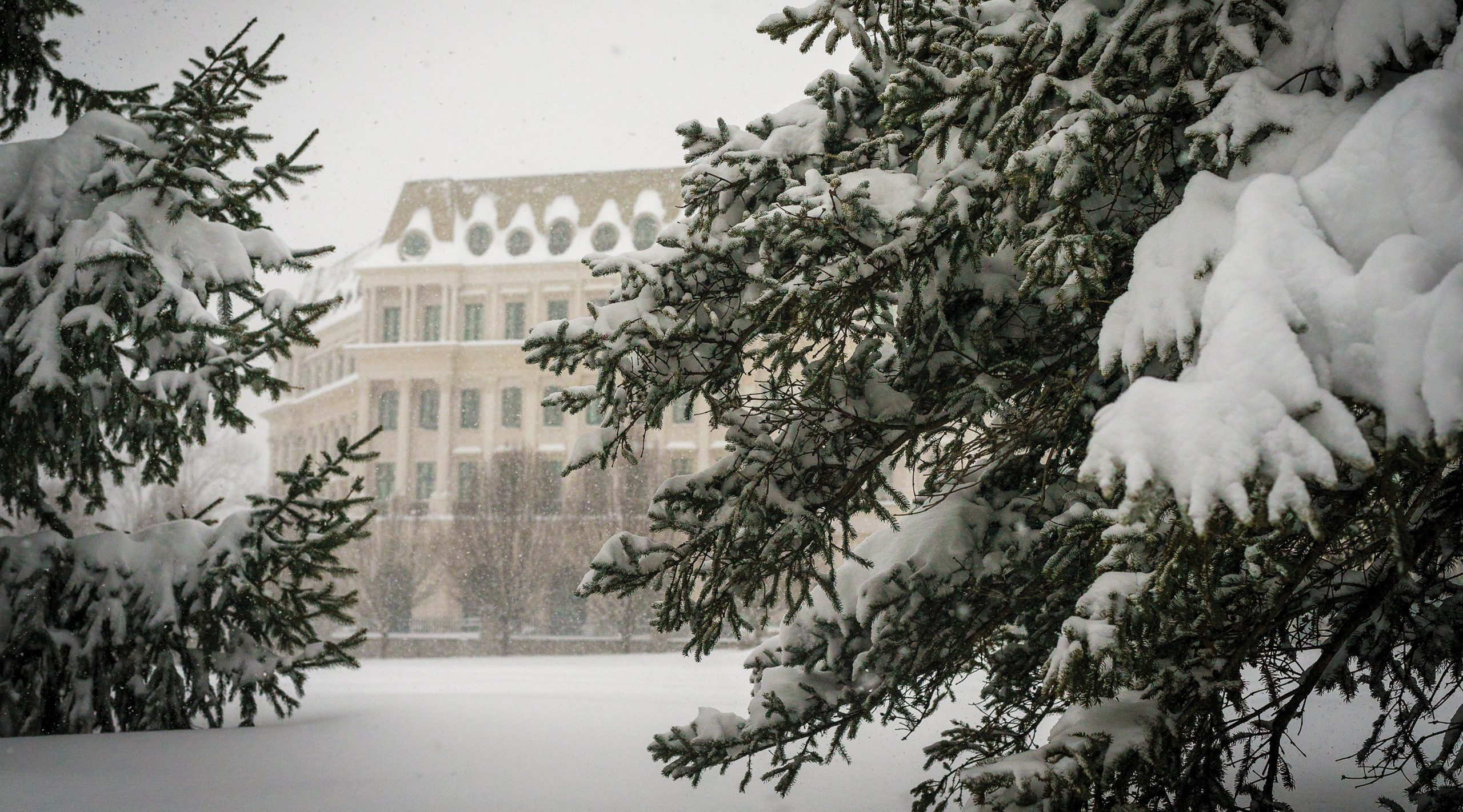 The Chateau in a Wintry Scene