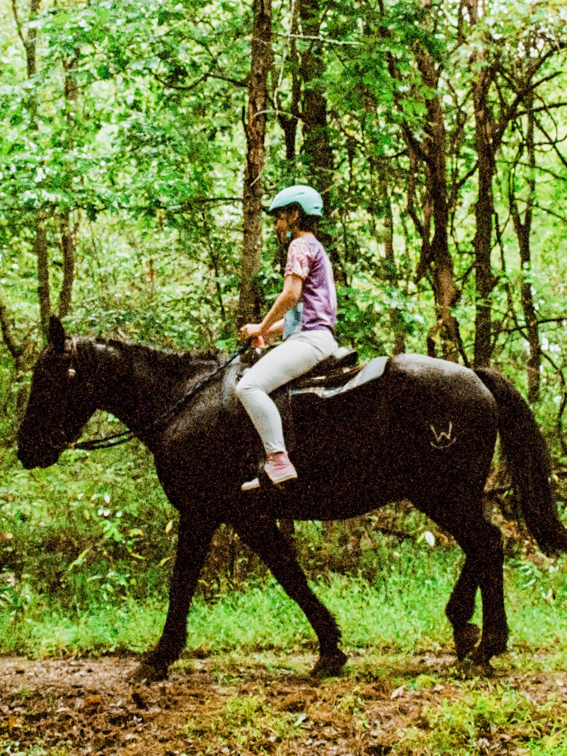 kid on a horse