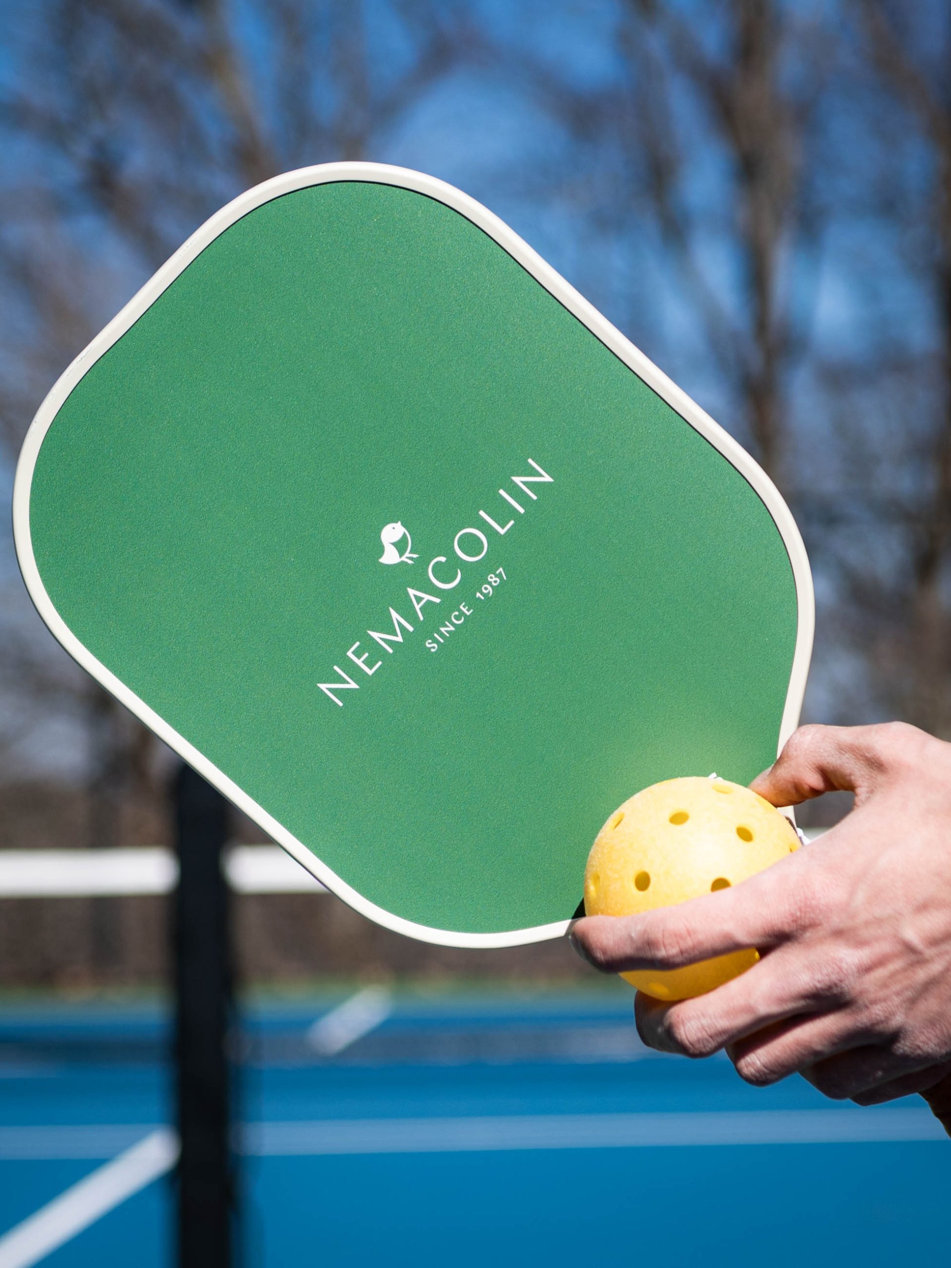 Two hands holding a pickleball racket and a ball.