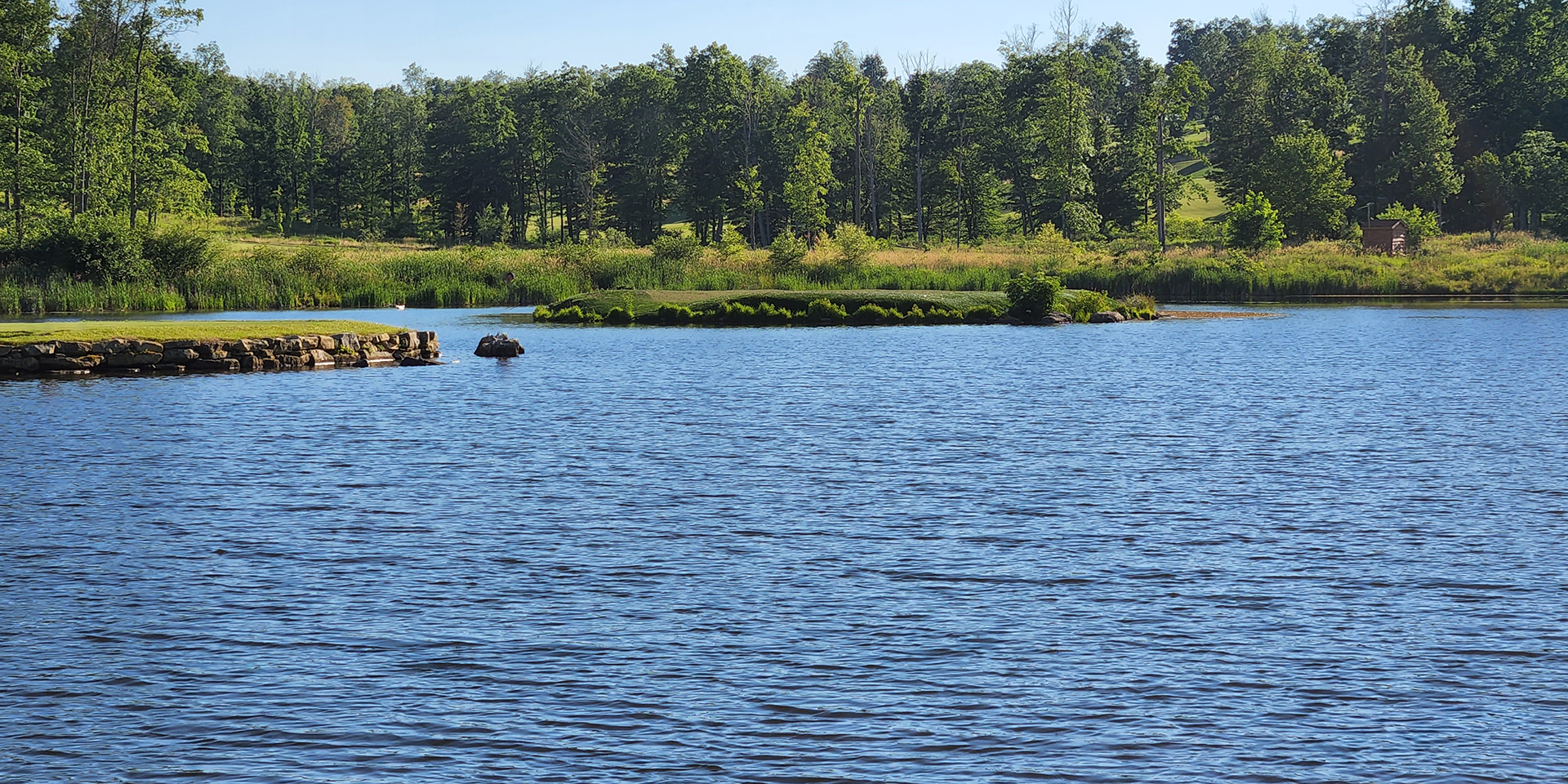 a small lake in the summer in PA