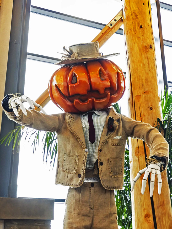 Pumpkin head man with skeleton hands dressed in a burlap suit