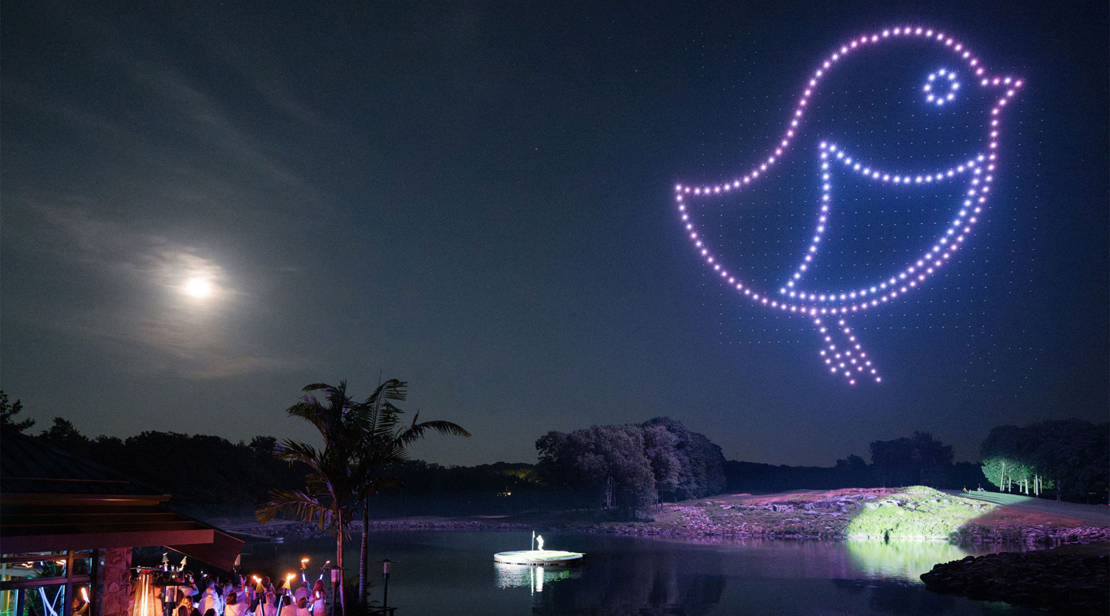 A moonlit night sky showing a drone show image of a bird hovering over a scenic pond with a party taking place in the foreground